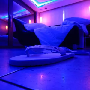 Hotel Lessence
